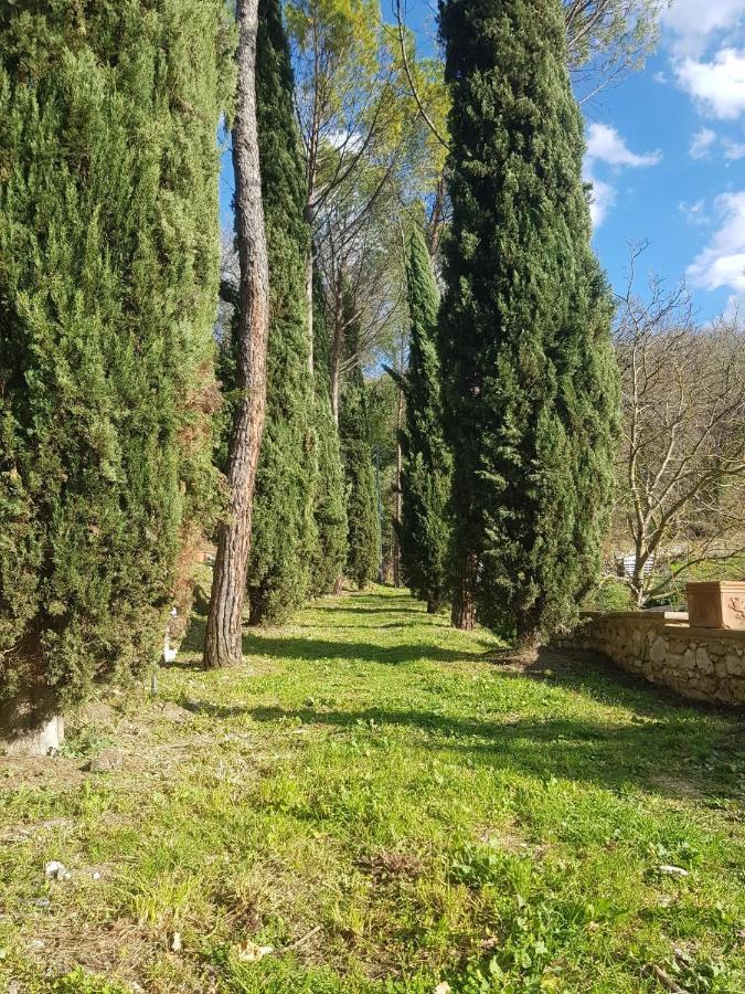 Domus Antiqua Bed & Breakfast Spello Exteriér fotografie